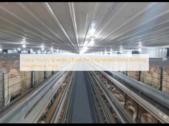 金属家禽繁殖基地 プリエンジニアリング 金属ビル 安い価格