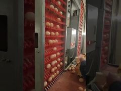 高品質の家禽を選択する理由を見る 鶏場設備の飼育システム